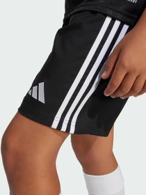 Шорты Adidas модель JN7170 Фото