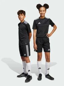 Шорты Adidas модель JN7170 Фото
