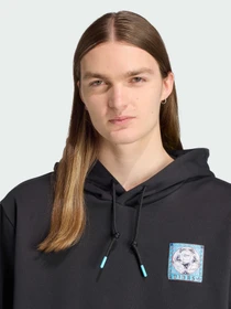 Худи и свитшоты Adidas модель JX3096 Фото