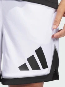 Шорты Adidas модель JN4729 Фото