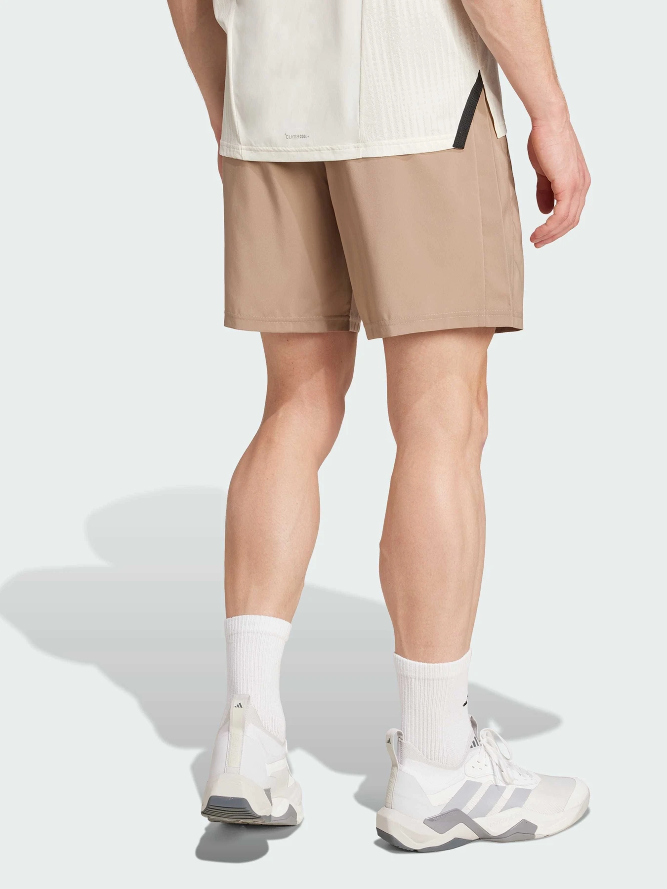 Шорты Adidas модель JW2495 Шорты Adidas модель JW2495 Фото