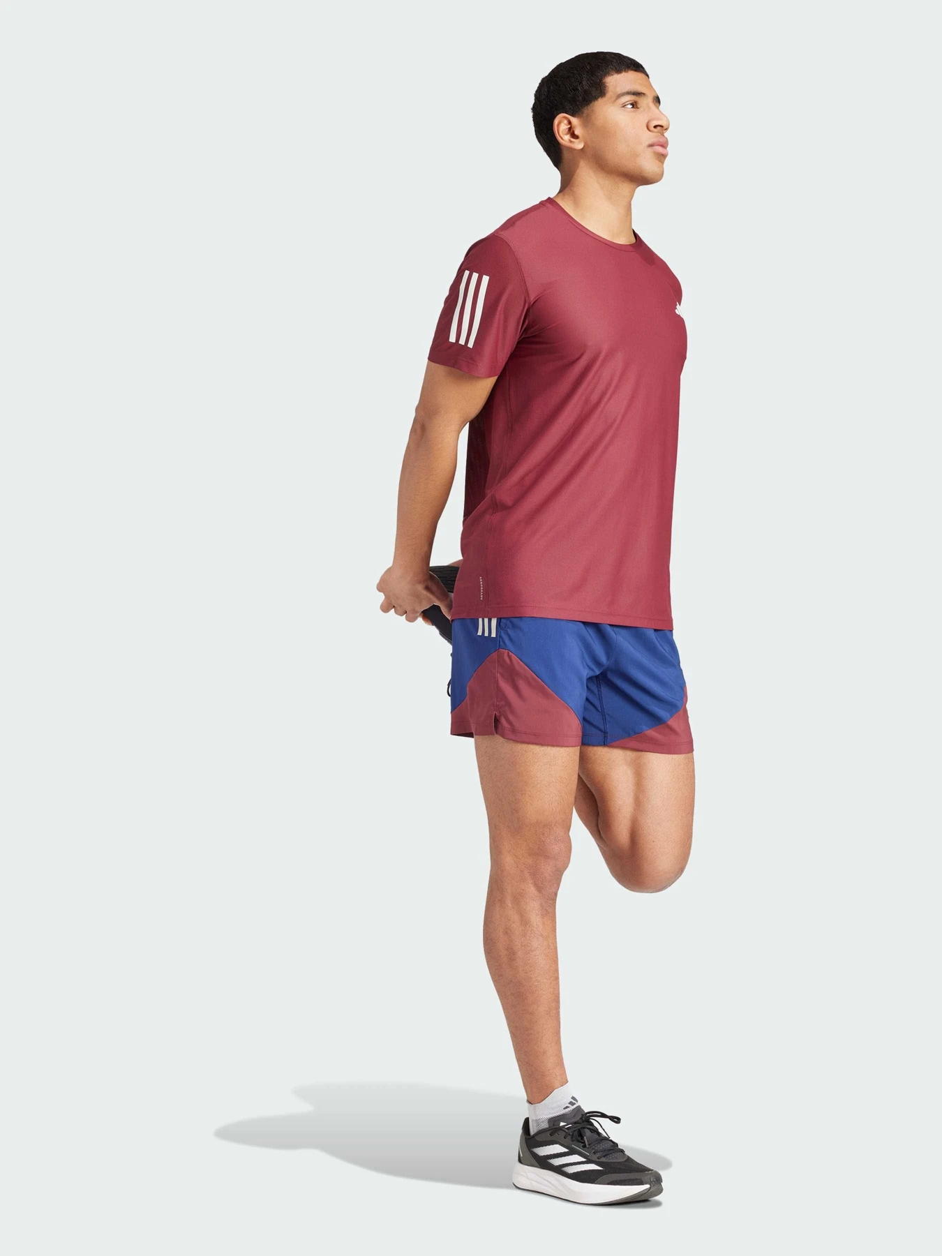 Шорты Adidas модель IM5417 Шорты Adidas модель IM5417 Фото