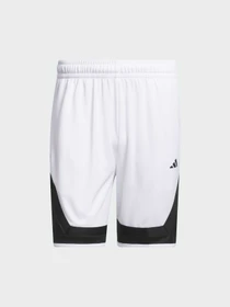 Шорты Adidas модель IX1849 Фото