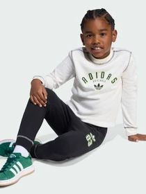 Костюмы Adidas Graphics модель JX5261 Фото
