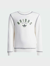 Костюмы Adidas Graphics модель JX5261 Фото