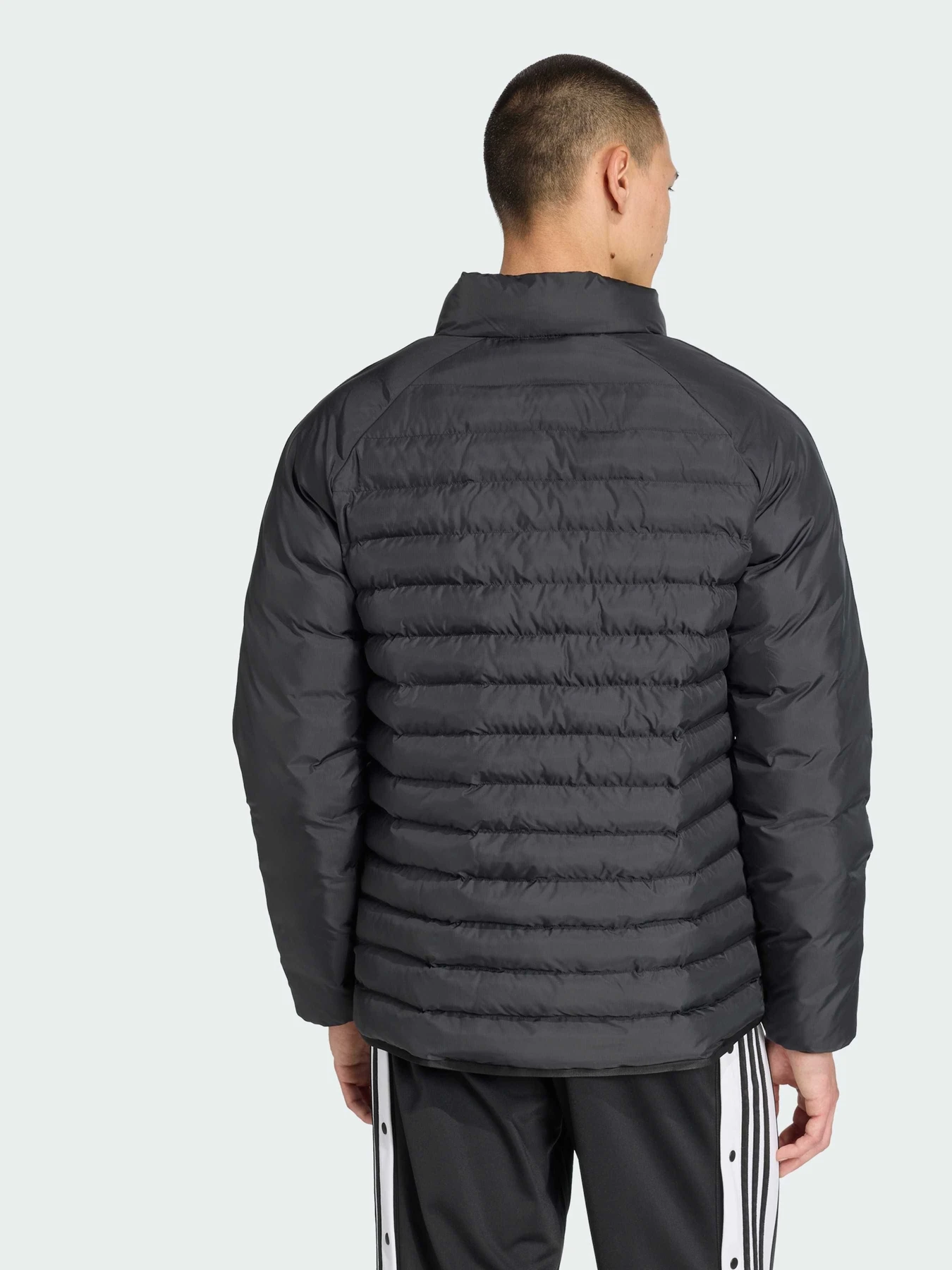 Куртки и дубленки Adidas модель JW5844 Куртки и дубленки Adidas модель JW5844 Фото