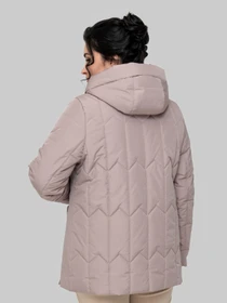 Куртки и дубленки All Posa модель ap102309p-dimchasta-troqnda Фото