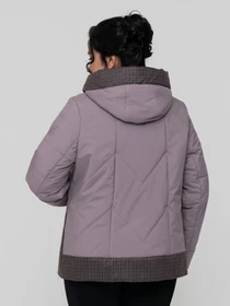 Куртки и дубленки All Posa модель ap102305p-dimchasta-troqnda Фото