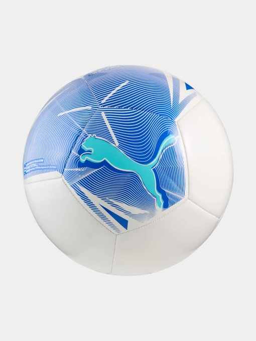 Мячи PUMA Big Cat Ball модель 084589 Фото