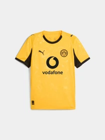 Футболки і поло PUMA Bvb Cup Jersey Replica модель 780112 Фото