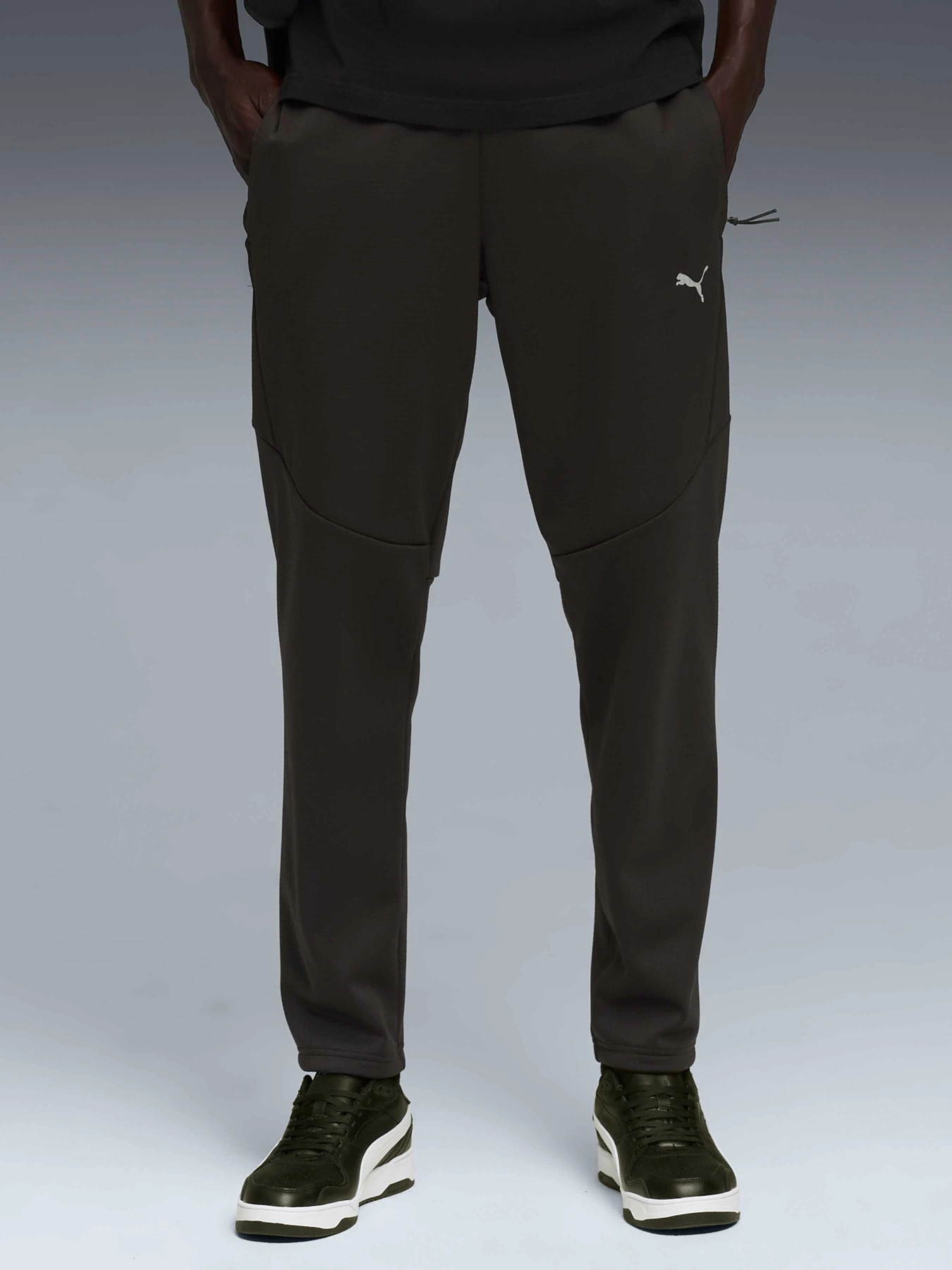 Брюки PUMA Evostripe Warm Pants модель 688239 Брюки PUMA Evostripe Warm Pants модель 688239 Фото