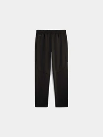 Брюки PUMA Evostripe Warm Pants модель 688239 Фото