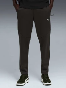 Брюки PUMA Evostripe Warm Pants модель 688239 Фото