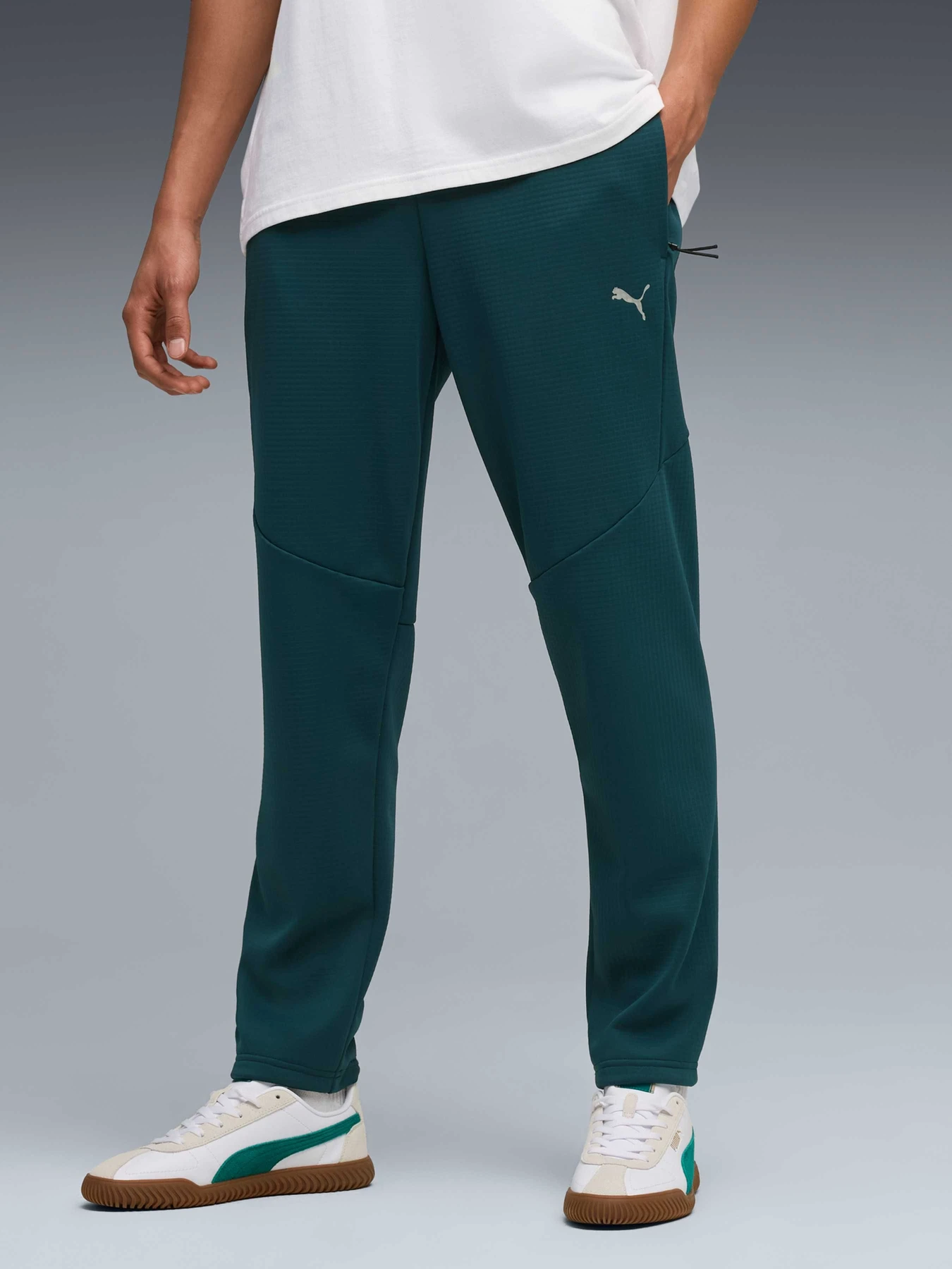 Брюки PUMA Evostripe Warm Pants модель 688239 Брюки PUMA Evostripe Warm Pants модель 688239 Фото
