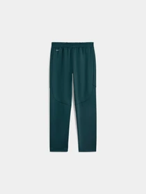 Брюки PUMA Evostripe Warm Pants модель 688239 Фото