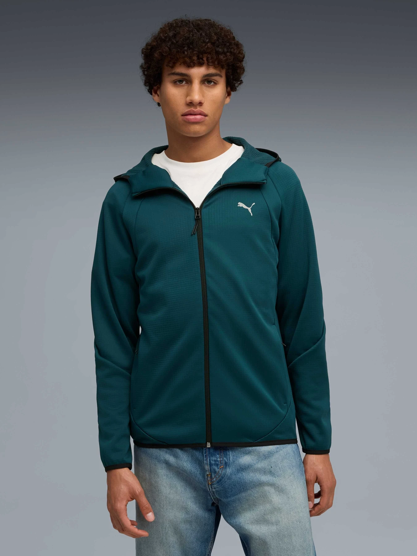 Худи и свитшоты PUMA Evostripe Warm Fz Hoodie модель 688237 Фото