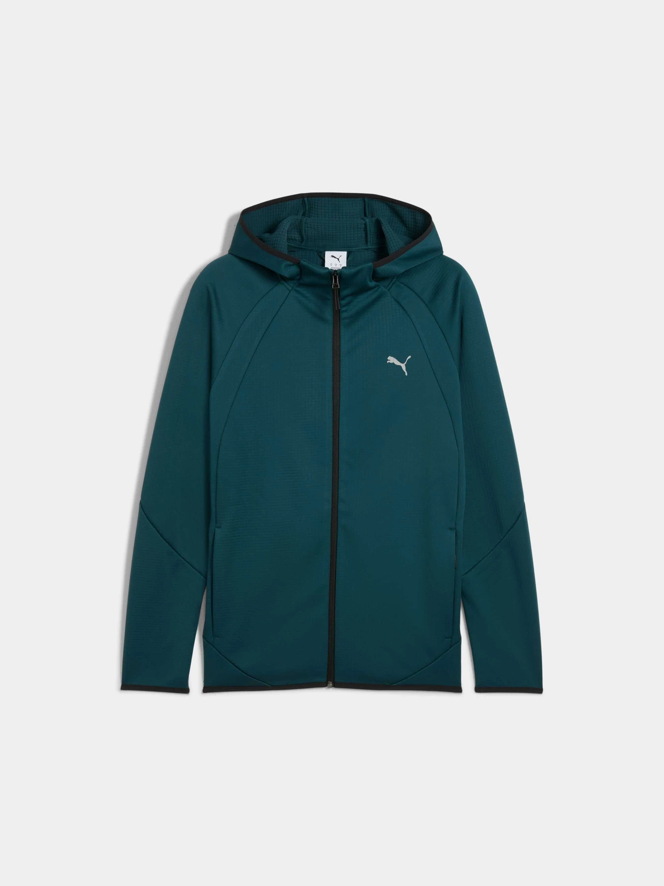 Худи и свитшоты PUMA Evostripe Warm Fz Hoodie модель 688237 Фото
