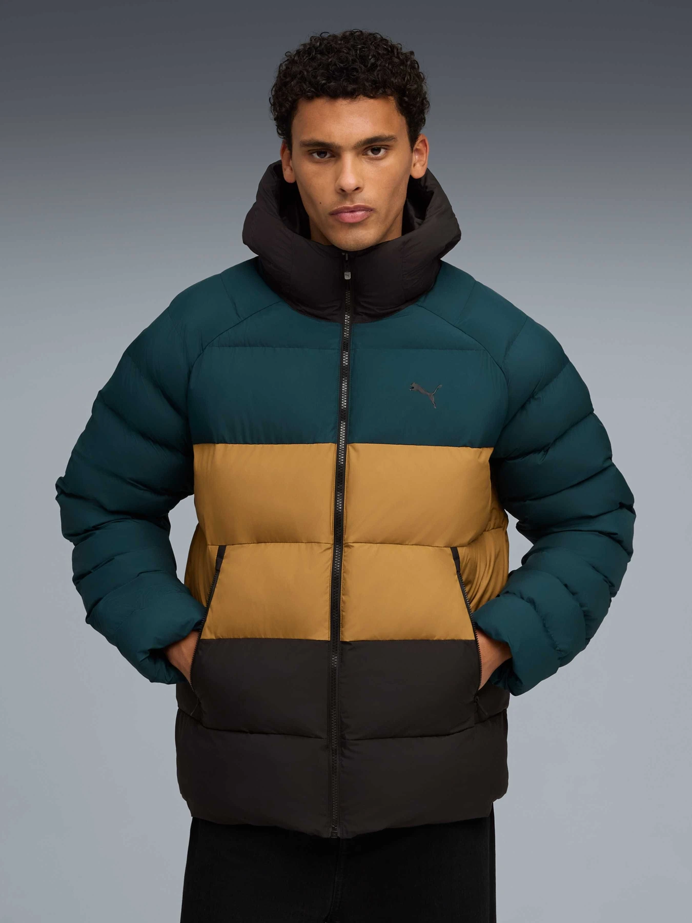 Куртки и дубленки PUMA Mono Hooded Jacket модель 688367 Фото