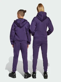 Штани Adidas ZNE модель JW2429 Фото