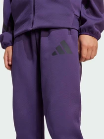 Штани Adidas ZNE модель JW2429 Фото
