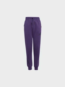 Штани Adidas ZNE модель JW2429 Фото