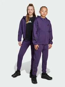 Брюки Adidas ZNE модель JW2429 Фото
