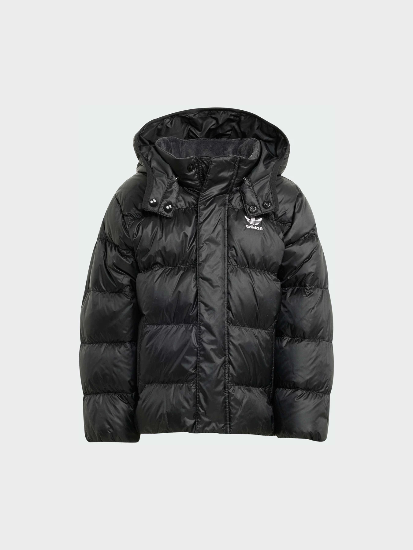 Куртки и дубленки Adidas Adicolor модель JX0550 Куртки и дубленки Adidas Adicolor модель JX0550 Фото