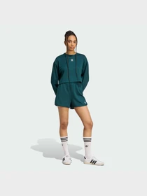 Худи и свитшоты Adidas модель JW6092 Фото