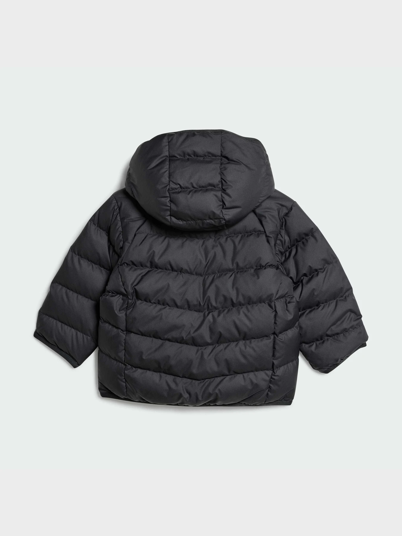 Куртки та дублянки Adidas Adicolor модель IX7493 Куртки та дублянки Adidas Adicolor модель IX7493 Фото