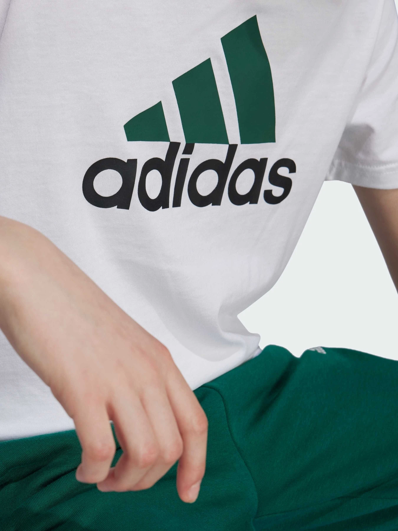 Футболки и поло Adidas модель JF8743 Футболки и поло Adidas модель JF8743 Фото