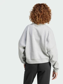Худи и свитшоты Adidas модель IX7943 Фото
