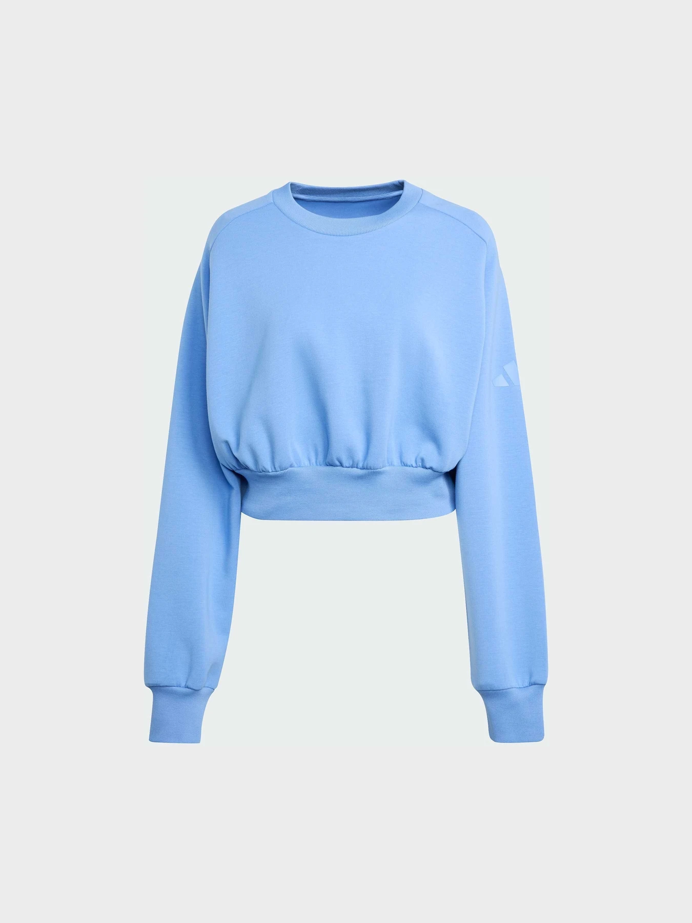 Худі та світшоти Adidas модель JV9895 Фото