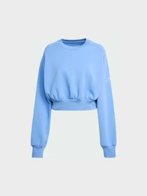 Худі та світшоти Adidas модель JV9895 Фото