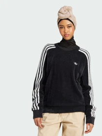 Худи и свитшоты Adidas Adicolor модель JX7813 Фото
