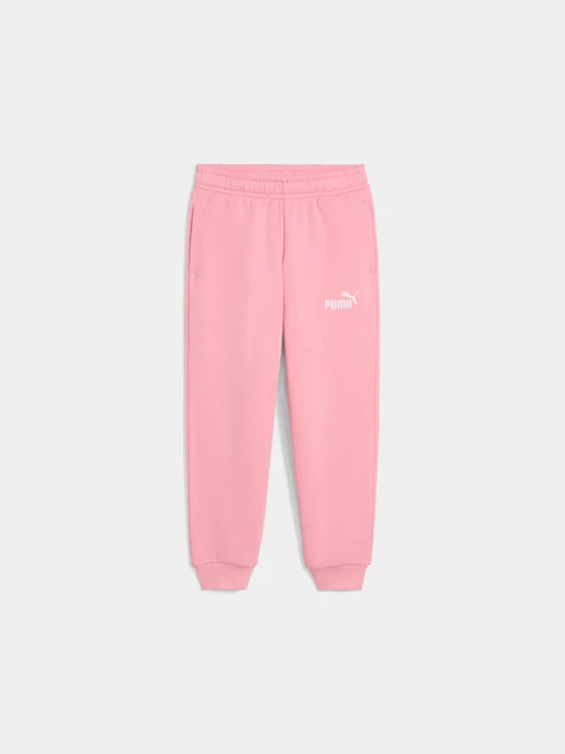 Брюки PUMA Ess Small Logo Sweatpants модель 684933 Фото
