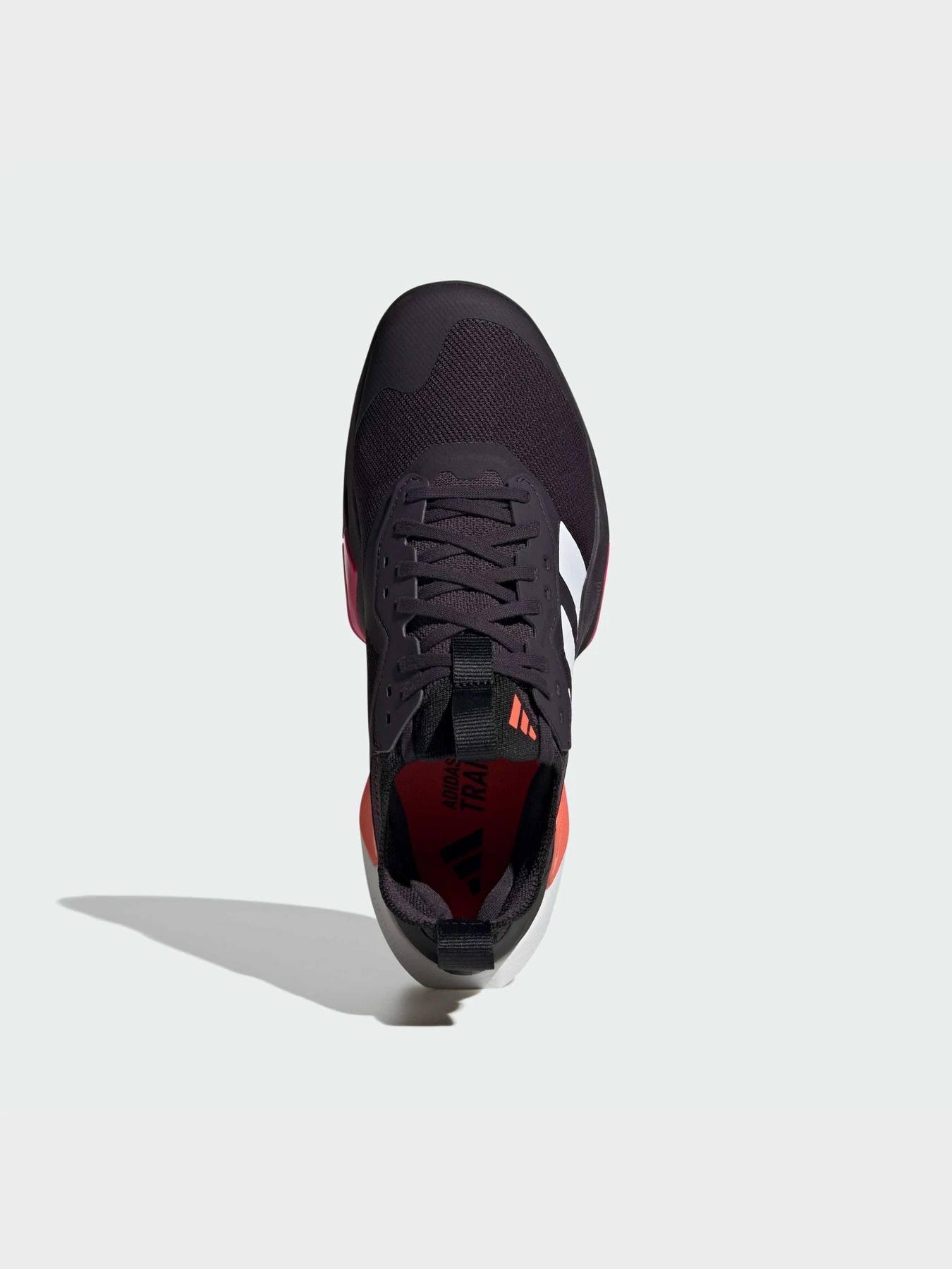 Кроссовки Adidas Rapida модель JS3169 Фото