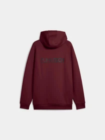 Худи и свитшоты PUMA Tech Relaxed Hoodie модель 629681 Фото