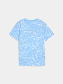 Футболки и поло PUMA Mcfc Ftblculture Tee Aop Jr модель 782675 Фото