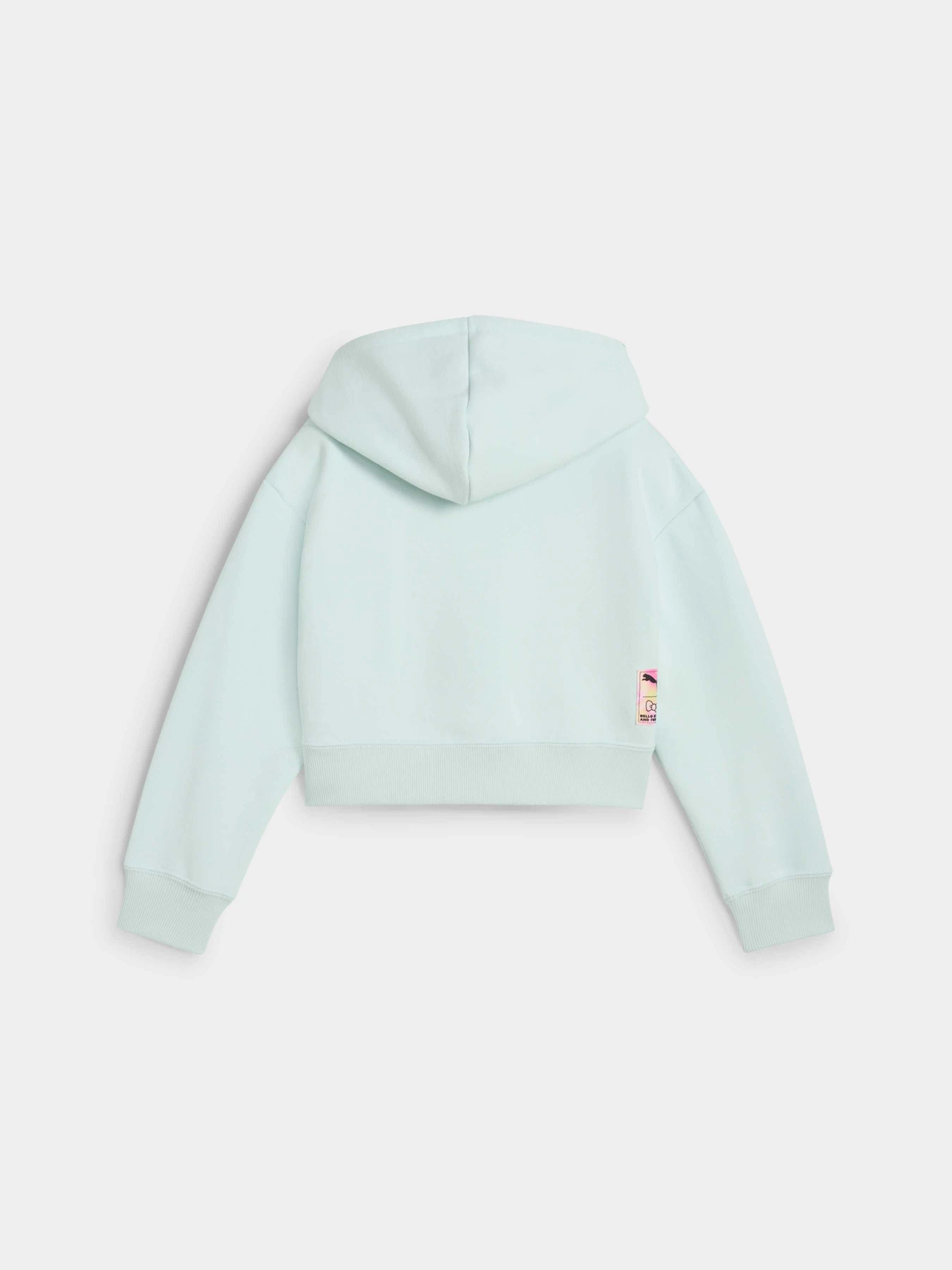 Худи и свитшоты PUMA x Hk&fr Relaxed Hoodie модель 630067 Фото