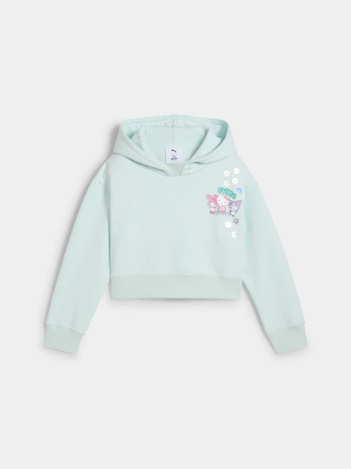 Худи и свитшоты PUMA x Hk&fr Relaxed Hoodie модель 630067 Фото