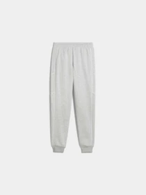 Штани PUMA Sport Sweatpants Fl Cl модель 688396 Фото