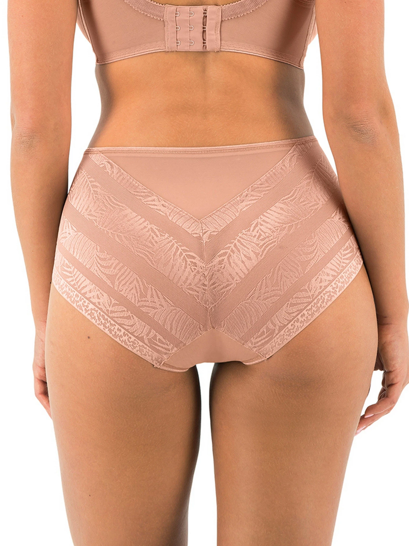 Нижнее белье Fantasie Devote модель 102451CAT Фото