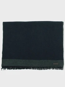 Шарфи та хустки Pierre Cardin модель C5 10010.1003.5307 Фото