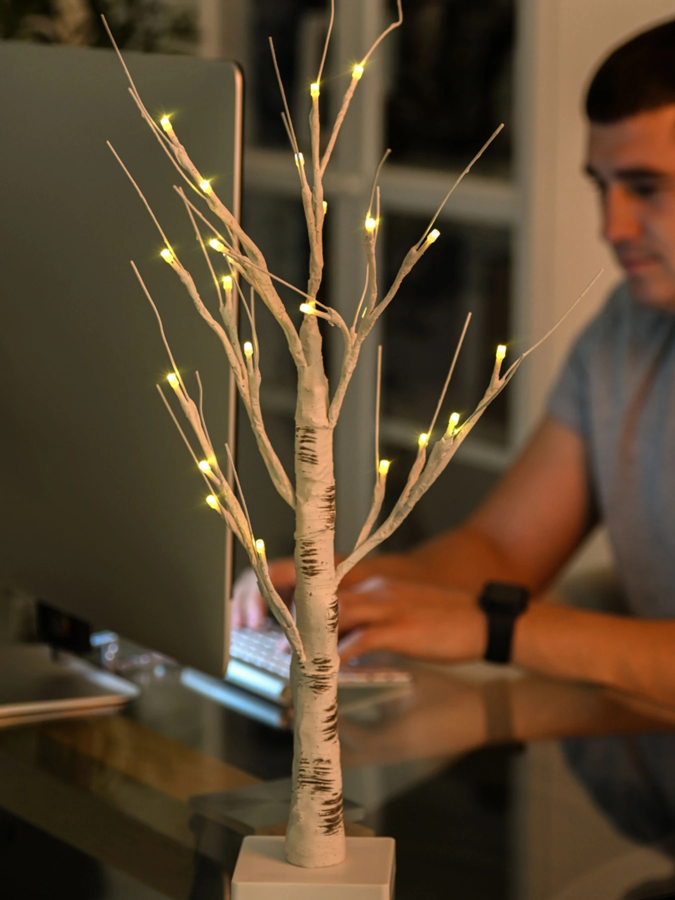 Дерево светодиодное на батарейках MBM HOME модель DH-LAMP-01 WHITE Дерево светодиодное на батарейках MBM HOME модель DH-LAMP-01 WHITE Фото