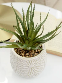 Искусственное растение в горшке MBM HOME модель DH-FLOWERS-13 GREEN/BEIGE Фото