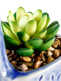 Искусственное растение в горшке MBM HOME модель DH-FLOWERS-20 GREEN/BLUE Фото