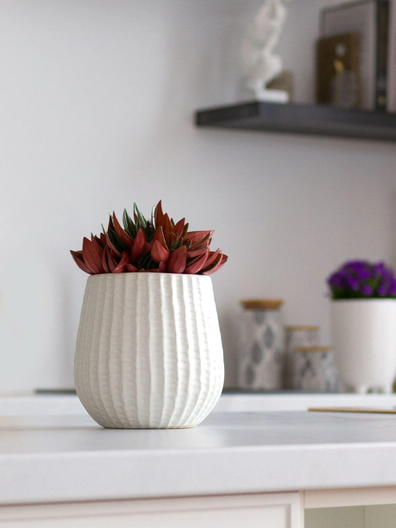 Горшок-кашпо для растений белый MBM HOME модель DH-FLOWERS-25 M WHITE Горшок-кашпо для растений белый MBM HOME модель DH-FLOWERS-25 M WHITE Фото
