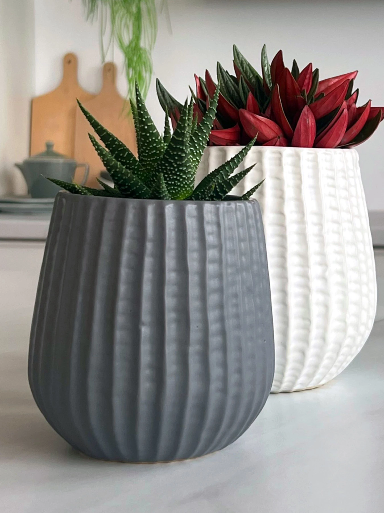 Горшок-кашпо для растений серый MBM HOME модель DH-FLOWERS-25 S GRAY Горшок-кашпо для растений серый MBM HOME модель DH-FLOWERS-25 S GRAY Фото