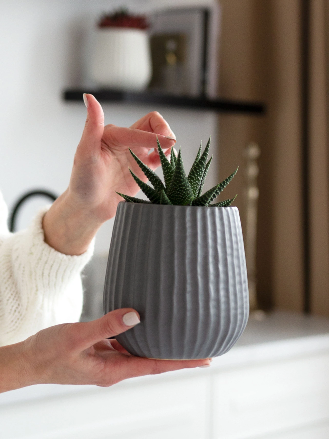 Горшок-кашпо для растений серый MBM HOME модель DH-FLOWERS-25 S GRAY Горшок-кашпо для растений серый MBM HOME модель DH-FLOWERS-25 S GRAY Фото