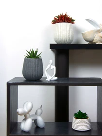Горшок-кашпо для растений серый MBM HOME модель DH-FLOWERS-25 S GRAY Фото